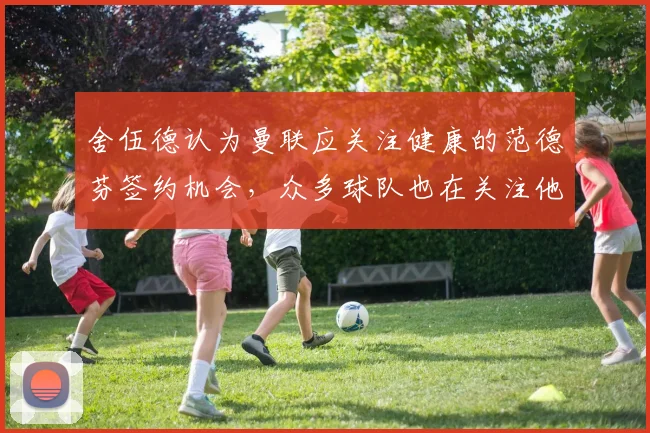 舍伍德认为曼联应关注健康的范德芬签约机会，众多球队也在关注他